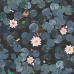 Lily Pads