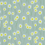 Moon Daisies